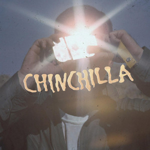 Chinchilla