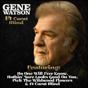 Gene Watson - 14 Carrat Mind