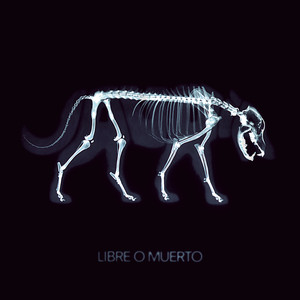 Libre O Muerto