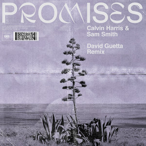 Promises (with Sam Smith) [David 