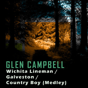 Wichita Lineman/galveston/country