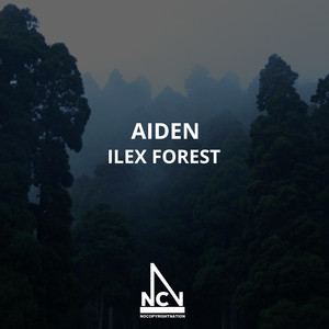 Ilex Forest