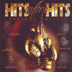 Hits After Hits Vol. 6