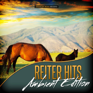 Reiter Hits - Ambient Edition