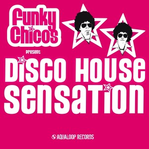 Funky Chicos Present Disco House 