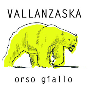 Orso giallo