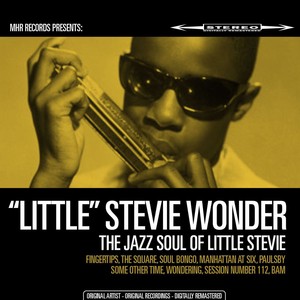 The Jazz Soul Of Little Stevie