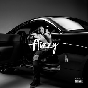 Flizzy (Premium Edition)