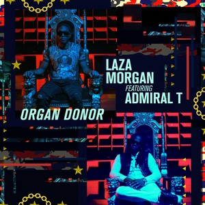 Organ Donor