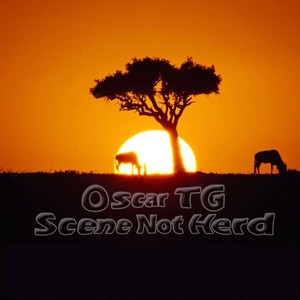 Scene Not Herd