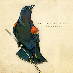 Blackbird Song