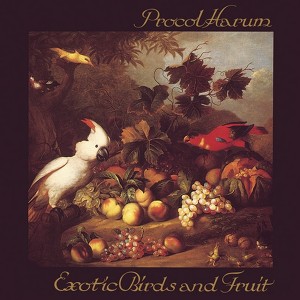 Exotic Birds And Fruit