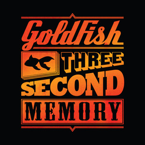 Three Second Memory