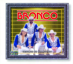 Tesoros De Coleccion - Bronco