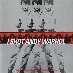 I Shot Andy Warhol