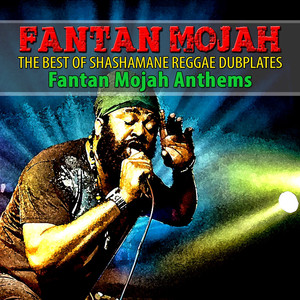 The Best of Shashamane Reggae Dub