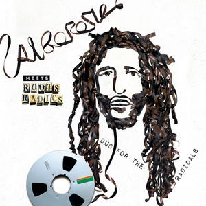 Alborosie Meets Roots Radics: Dub