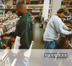 Endtroducing