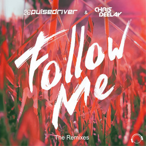 Follow Me (The Remixes)