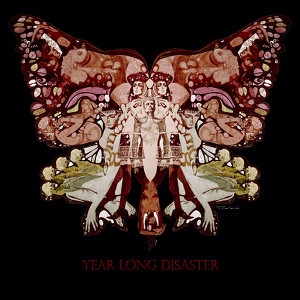 Year Long Disaster