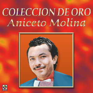 Coleccion De Oro - Aniceto Molina