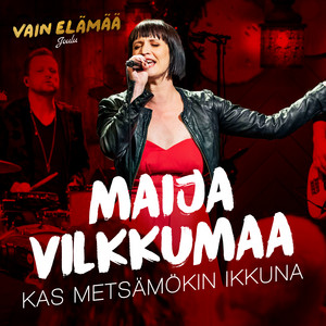 Kas metsämökin ikkuna (Vain elämä