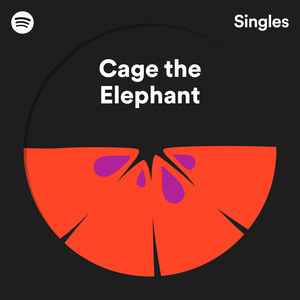 Spotify Singles