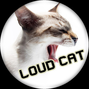 Loud Cat