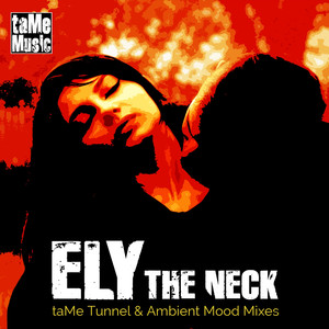 The Neck (taMe Tunnel and Ambient