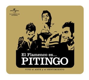 Flamenco Es... Pitingo