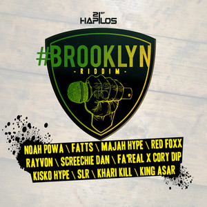 #brooklyn Riddim Project