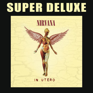 In Utero - 20th Anniversary Super