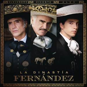 La Dinastía Fernández (La Derrota