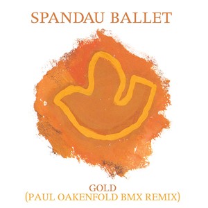 Gold (paul Oakenfold Bmx Remix)