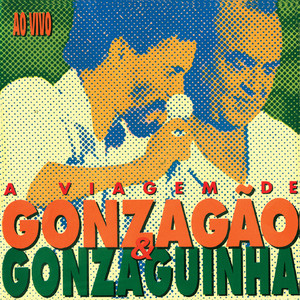 A Viagem De Gonzagão E Gonzaguinh