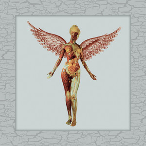 In Utero (30th Anniversary Super 