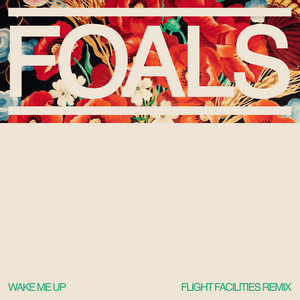 Wake Me Up (Flight Facilities Rem