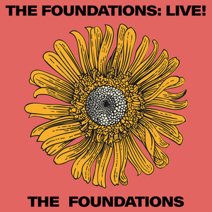 The Foundations: Live!