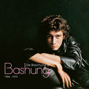 De Baschung à Bashung