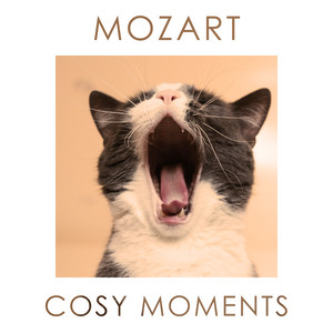 Mozart Cosy Moments