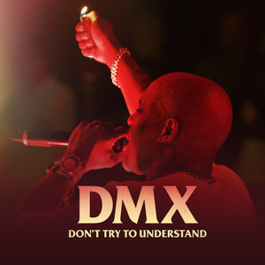 DMX: Don't Try to Understand