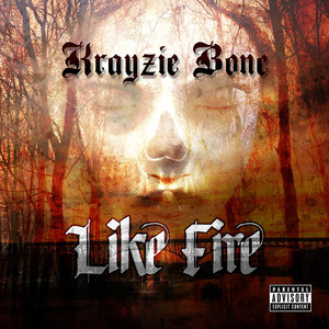 Like Fire - Single