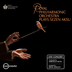 The Royal Philharmonic Orchestra 