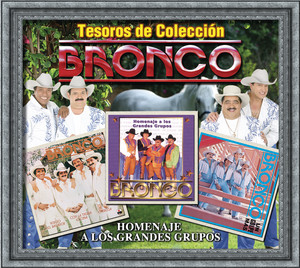 Tesoros De Colección - Bronco - H