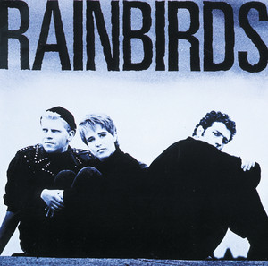 Rainbirds