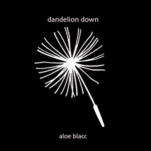 Dandelion Down