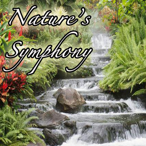 Nature's Symphony: Music From Out