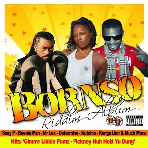 Bornso Riddim Album