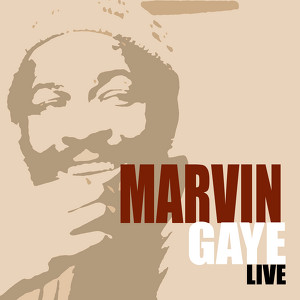 Marvin Gaye Live