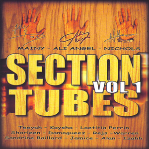 Section Tubes Zouk Vol. 1